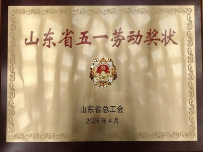 喜報丨熱烈慶祝天意機械榮獲“山東省五一勞動獎狀”